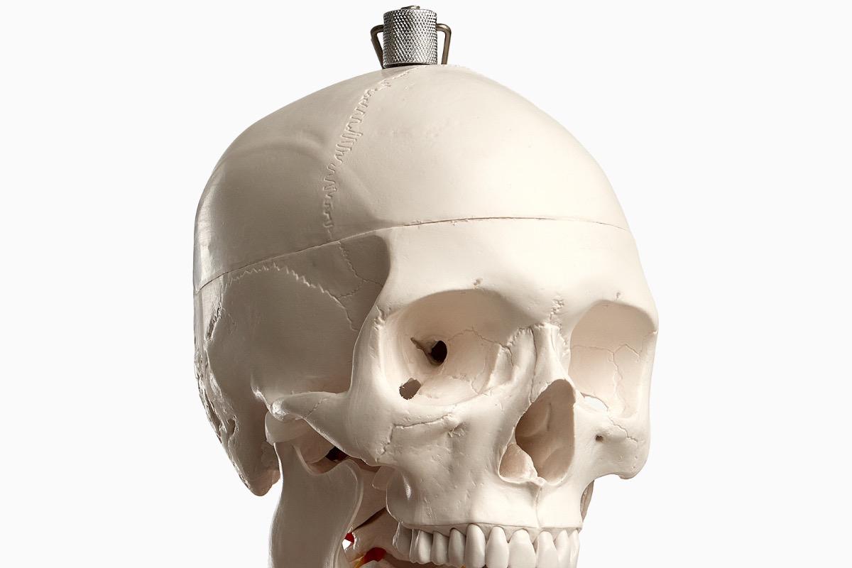 "Анатомическая модель скелета взрослого человека 170 см" - вид 4